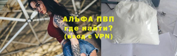 прущие грибы Приозерск