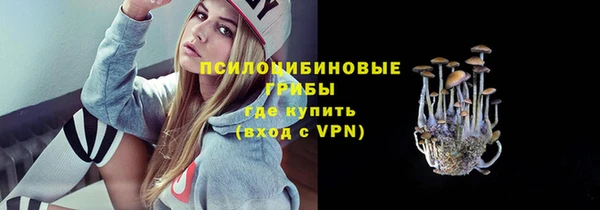 ПСИЛОЦИБИНОВЫЕ ГРИБЫ Мегион