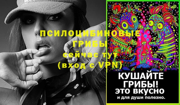 ПСИЛОЦИБИНОВЫЕ ГРИБЫ Мегион