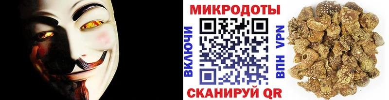 Псилоцибиновые грибы Cubensis  omg ONION  Чаплыгин 